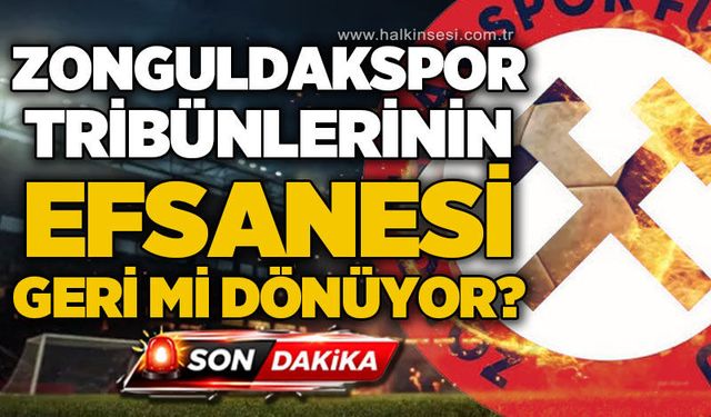 Spor