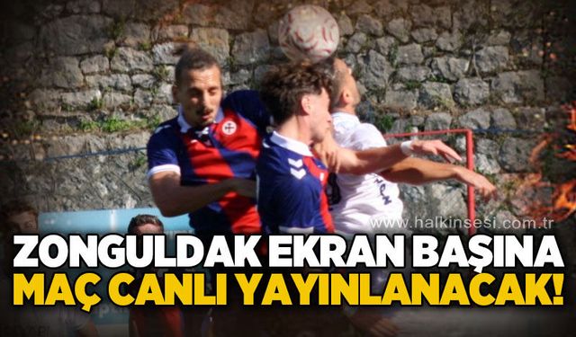 Spor
