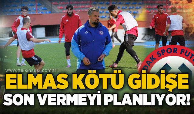 Spor