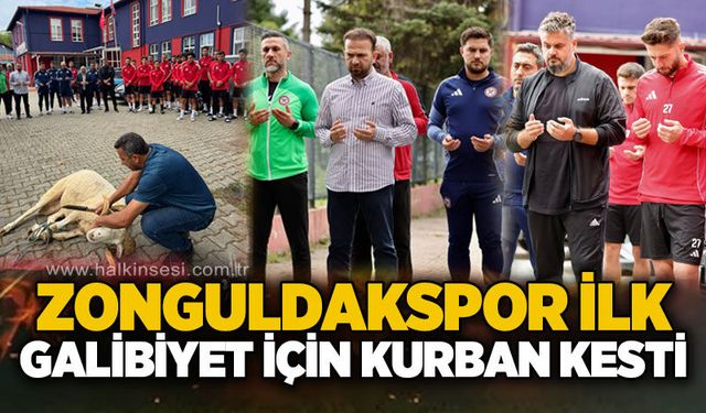 Spor