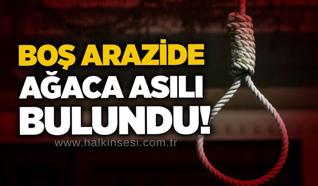 Boş arazide ağaca asılı bulundu!
