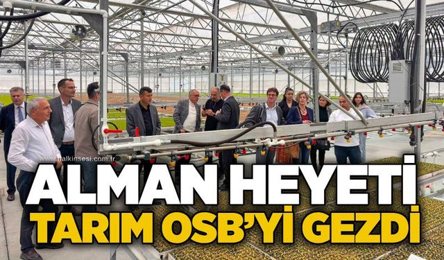 Çaycuma