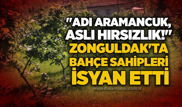 Zonguldak