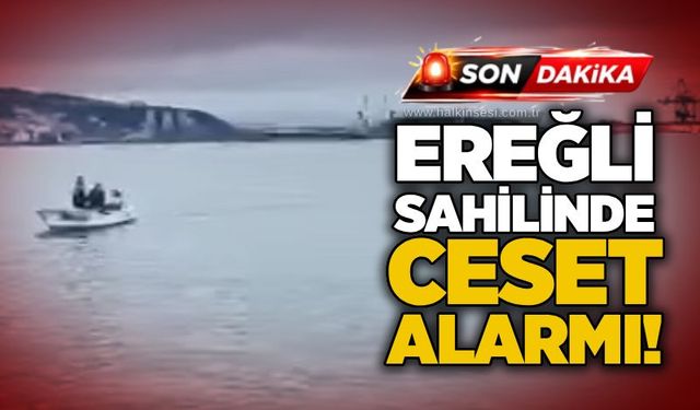 KDZ. Ereğli
