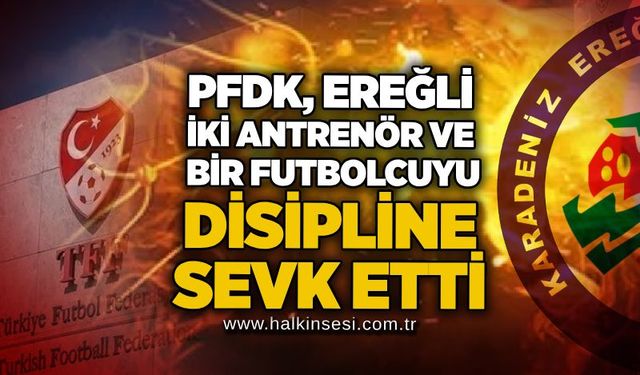 Spor