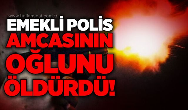 Emekli polis amcasının oğlunu öldürdü!