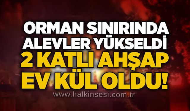 Orman sınırında alevler yükseldi: 2 Katlı ahşap ev kül oldu!