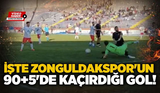 Spor