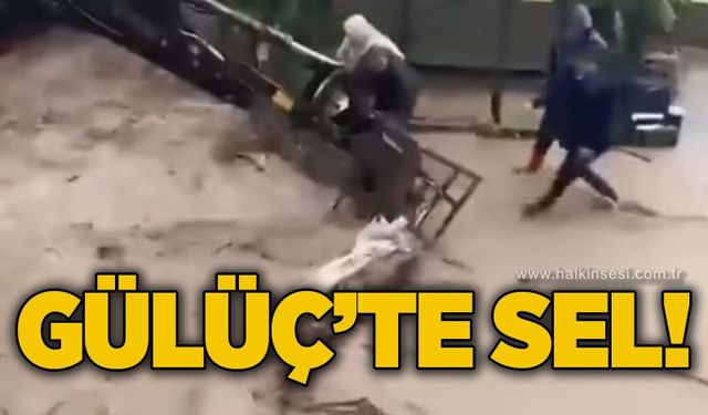 KDZ. Ereğli