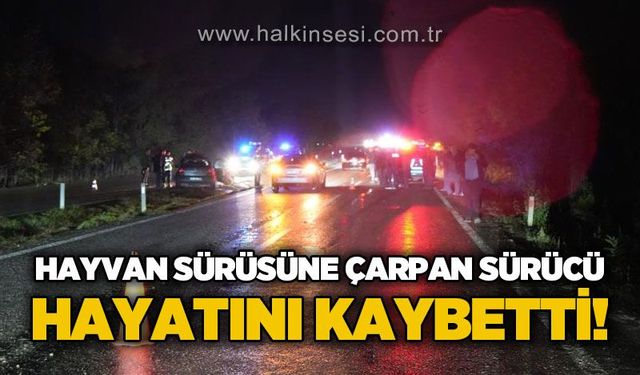 Zonguldak