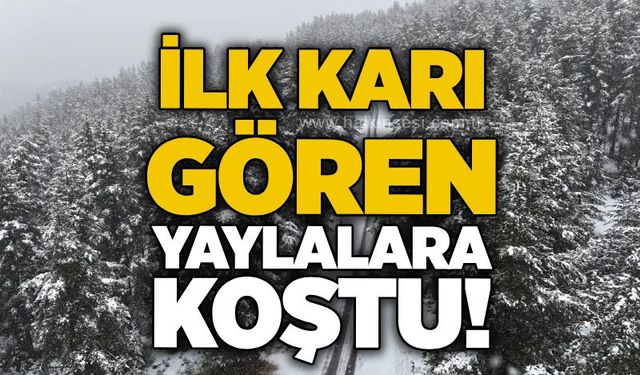 Bartın