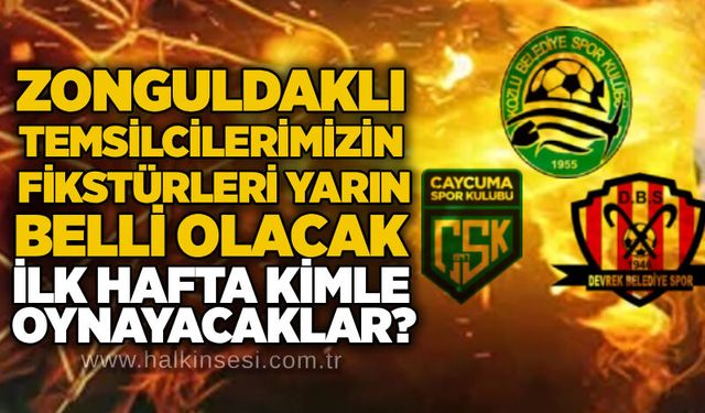 Spor