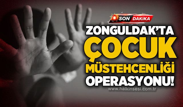 Zonguldak dahil 61 ilde siber operasyon: 547 şüpheli yakalandı