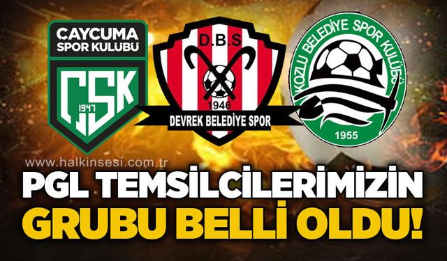 Spor