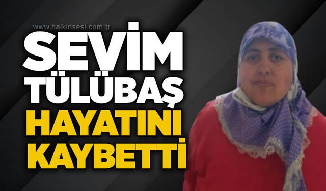 Gökçebey