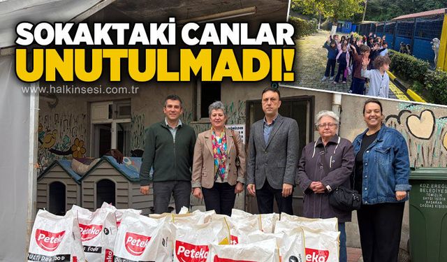KDZ. Ereğli