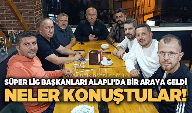 Spor