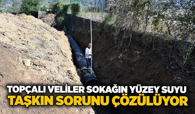 KDZ. Ereğli