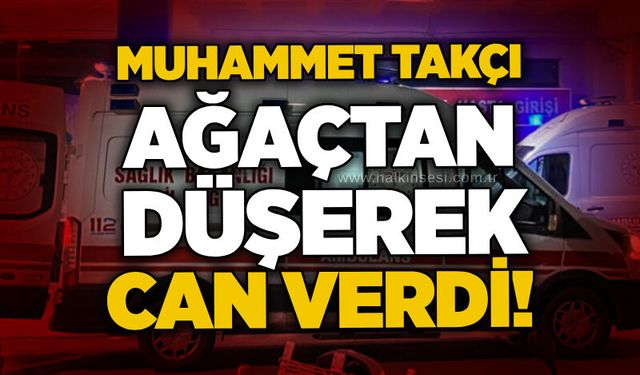 Muhammet Takçı ağaçtan düşerek can verdi!