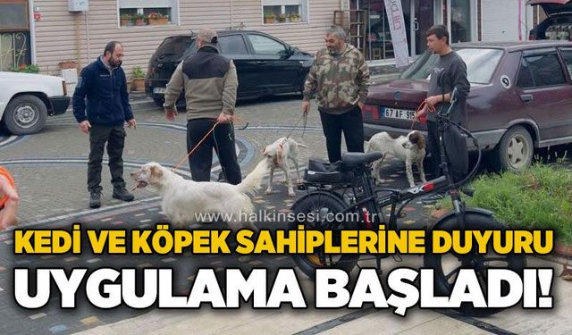 Çaycuma