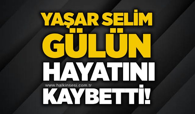 Devrek