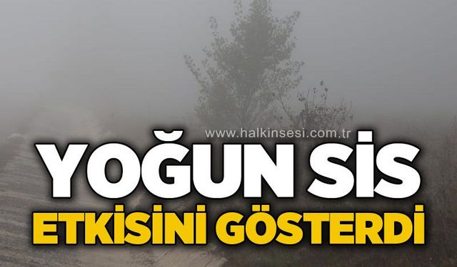 Ankara yolunda yoğun sis etkili oldu: Görüş mesafesi 50 metreye düştü!