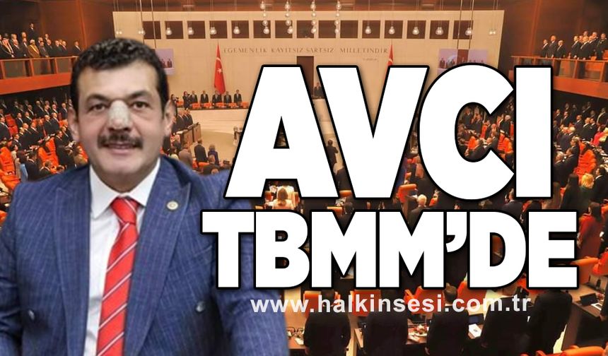 Avcı TBMM'de