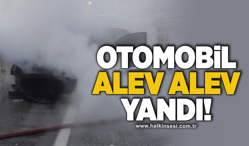 Otomobil alev alev yandı!