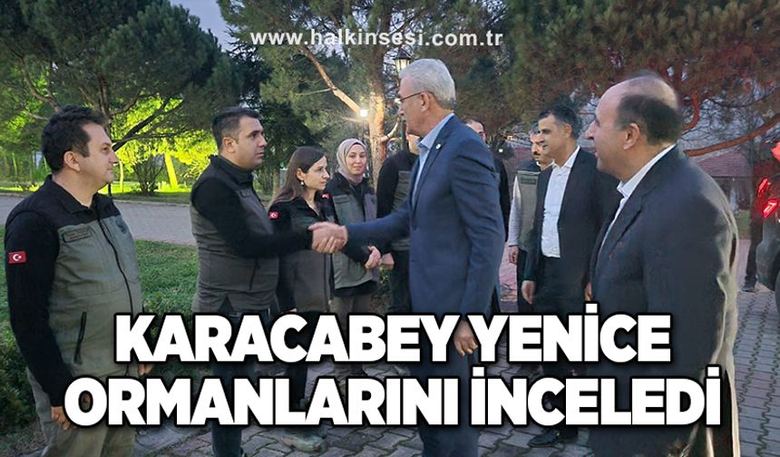 Karacabey Yenice ormanlarını inceledi
