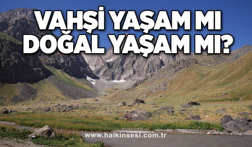 VAHŞİ YAŞAM MI DOĞAL YAŞAM MI?