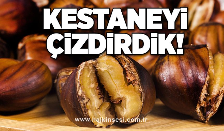 Kestaneyi çizdirdik!