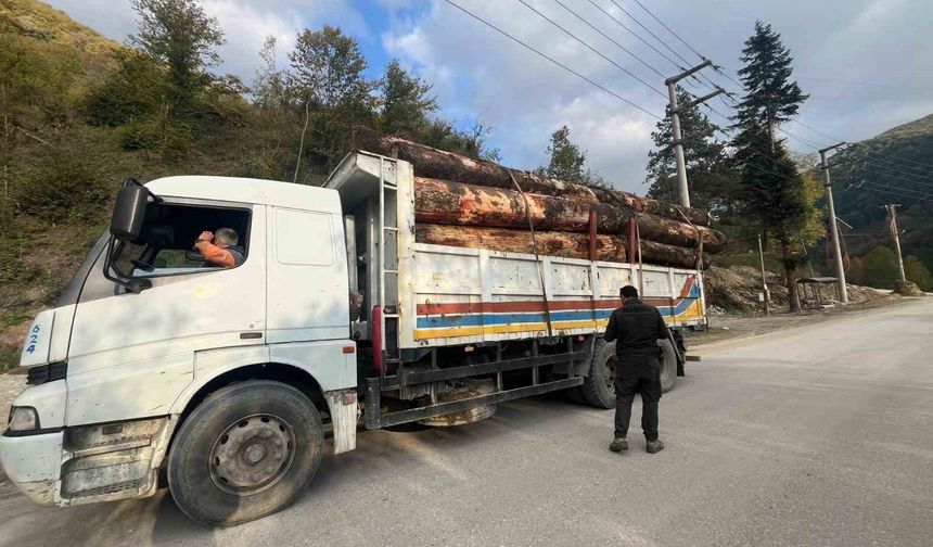 Bolu’da kaçak odun dolu kamyonlar yakalandı