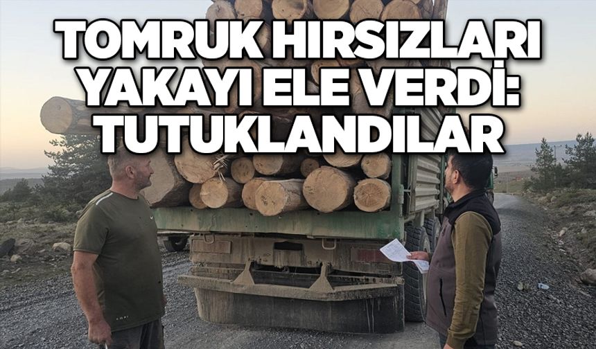 Tomruk hırsızları yakayı ele verdi: Tutuklandılar