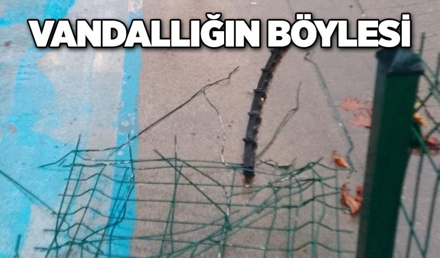 Vandallığın böylesi