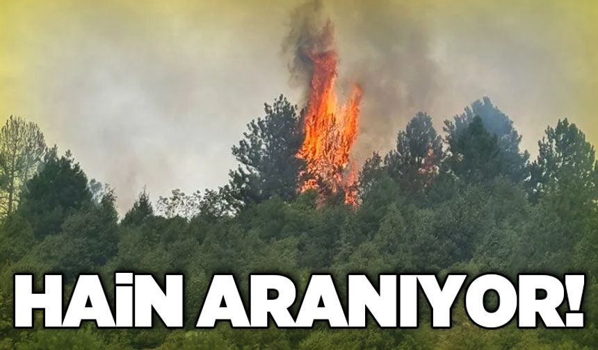 Hain aranıyor!