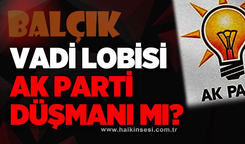 Vadi lobisi AK Parti düşmanı mı?