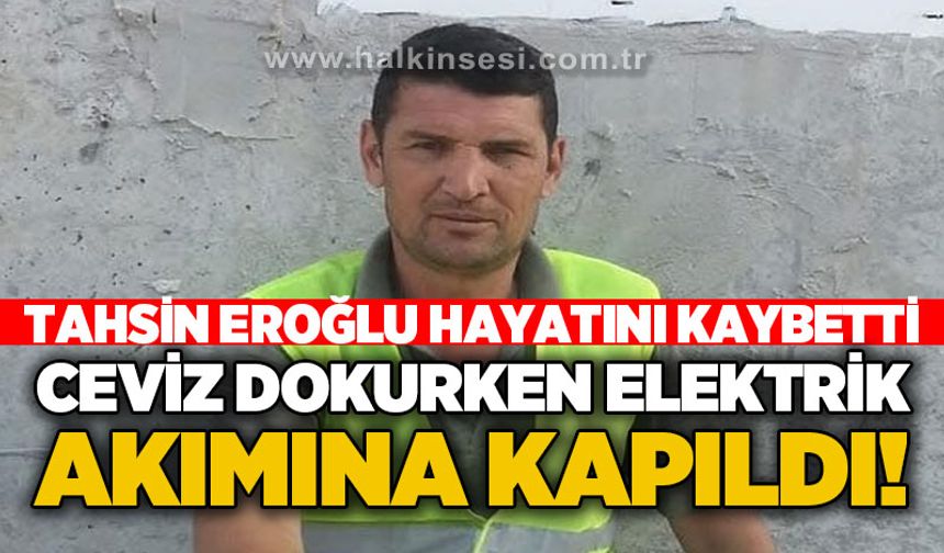 Tahsin Eroğlu ceviz dokurken elektrik akımına kapılarak hayatını kaybetti