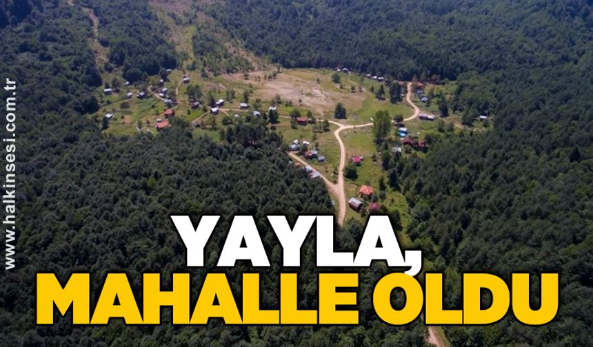 YAYLA, MAHALLE OLDU
