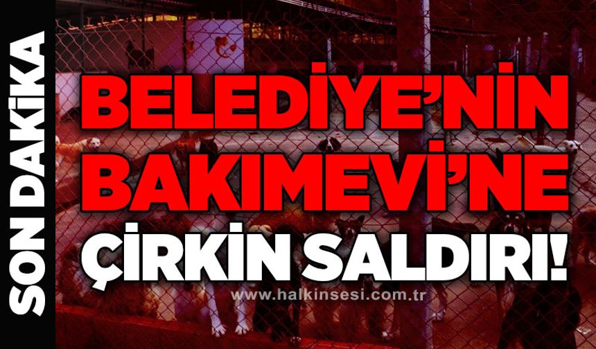 Belediye'nin Bakımevi'ne çirkin saldırı!