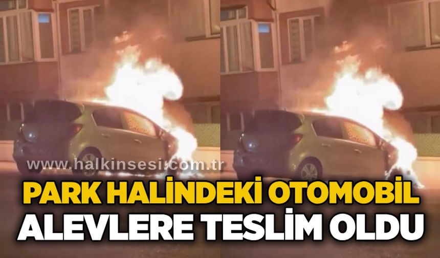 Park halindeki otomobil alevlere teslim oldu