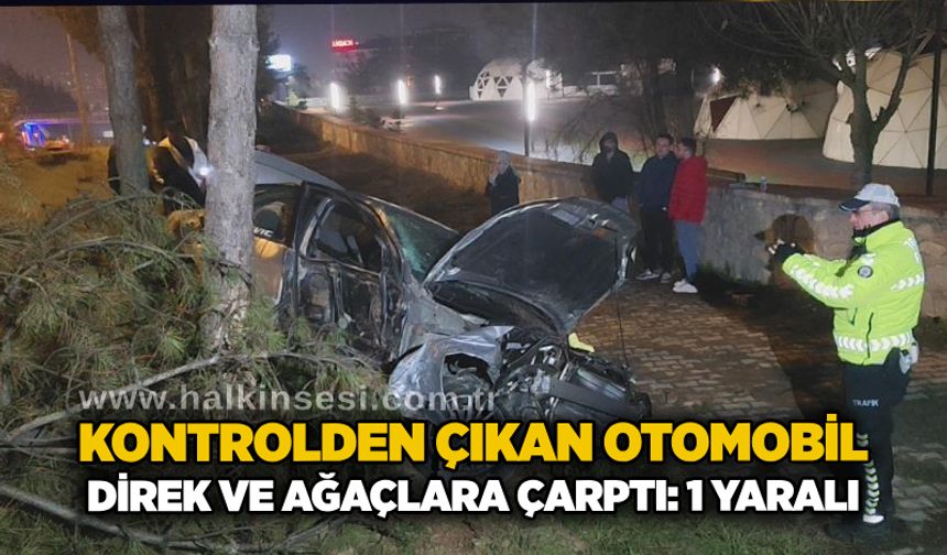 Kontrolden çıkan otomobil, direk ve ağaçlara çarptı: 1 yaralı