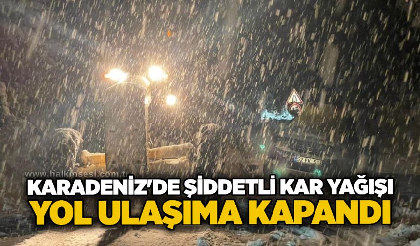 Karadeniz'de şiddetli kar yağışı: Yol ulaşıma kapandı!