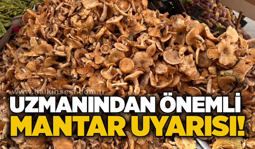 Uzmanından önemli mantar uyarısı!