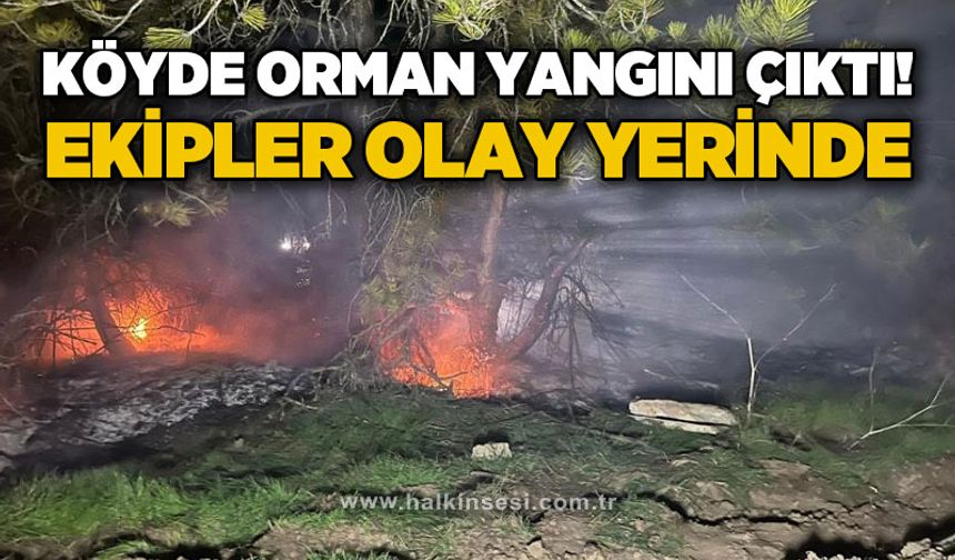 Köyde orman yangını: Ekipler olay yerinde