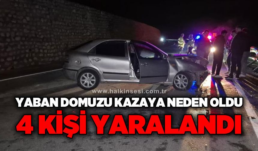 Yola çıkan yaban hayvanı kazaya neden oldu: 4 yaralı