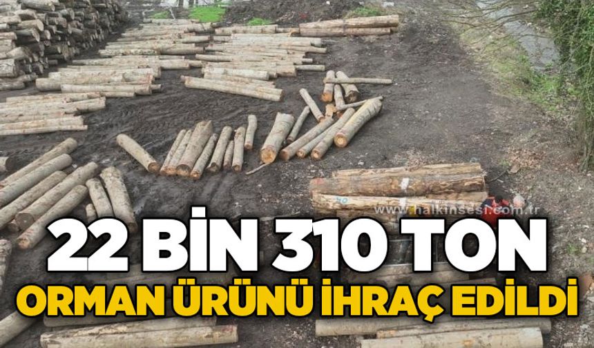 22 bin 310,95 ton orman ürünü ihraç edildi