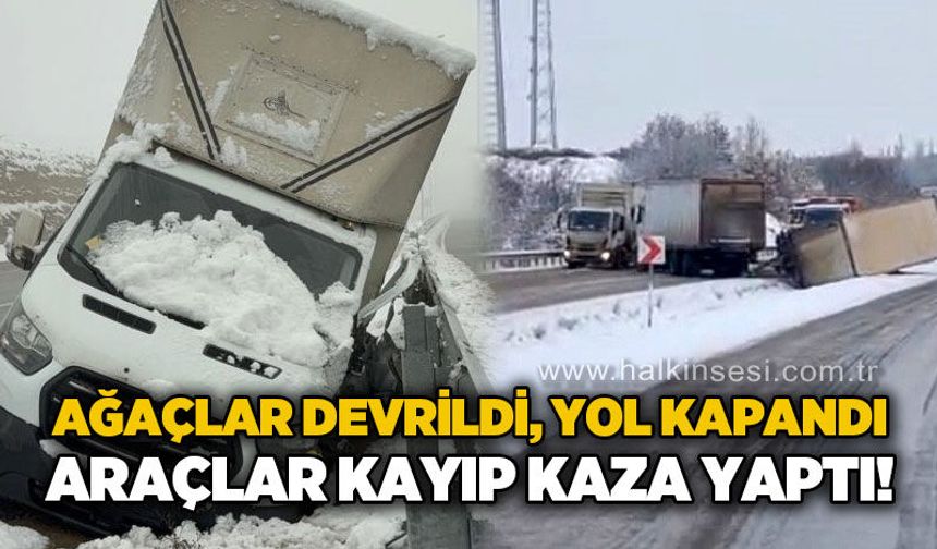 Ağaçlar devrildi, yol kapandı: Araçlar kaza yaptı!