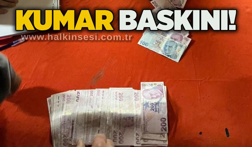 kumar baskını!