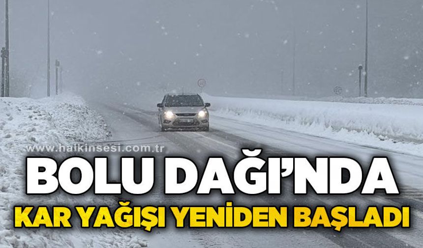 Bolu Dağı’nda kar yağışı yeniden başladı