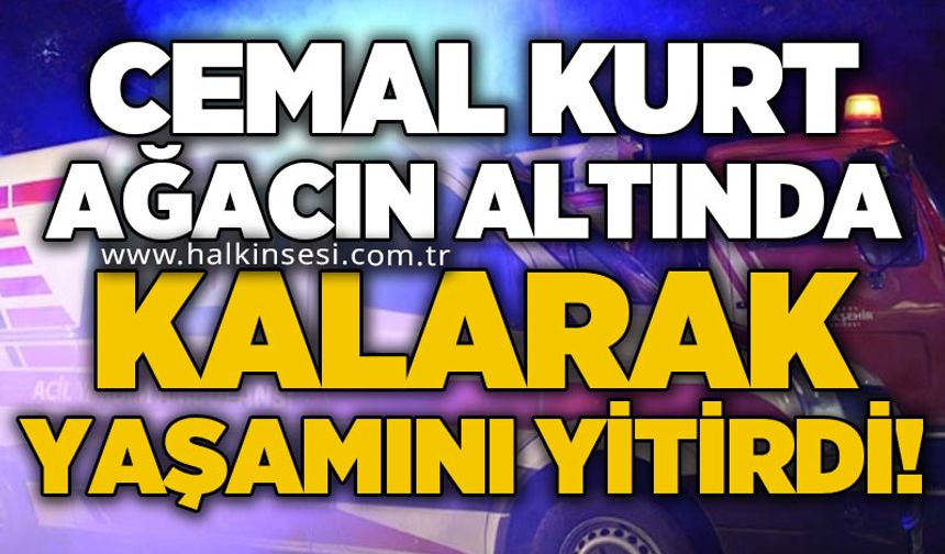 Cemal Kurt ağacın altında kalarak yaşamını yitirdi